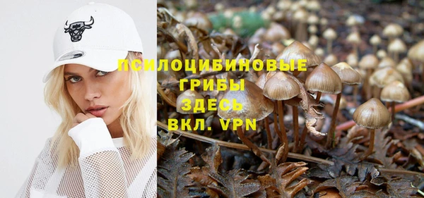 дживик Балахна