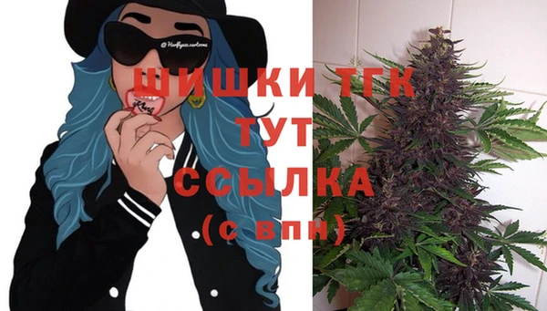 дживик Балахна