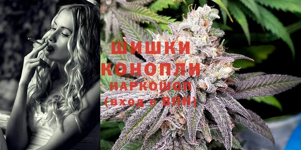 дживик Балахна