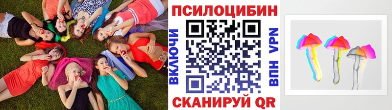 Галлюциногенные грибы Psilocybine cubensis  где купить наркотик  Верхняя Салда 