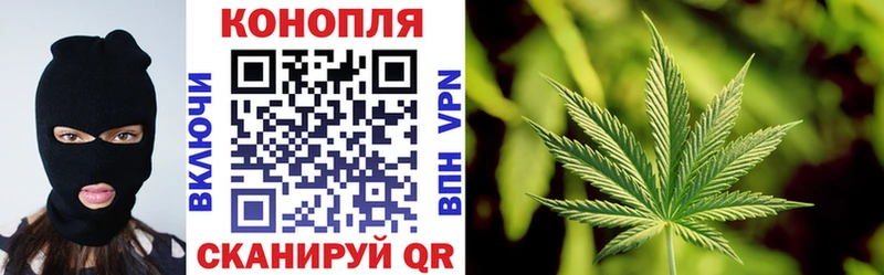 где купить   Верхняя Салда  Каннабис планчик 